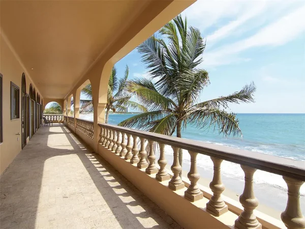 El Delfín - Image 34