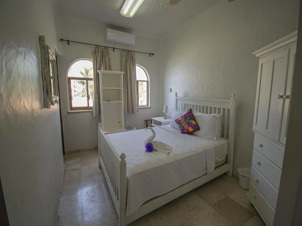 El Delfín - Image 12