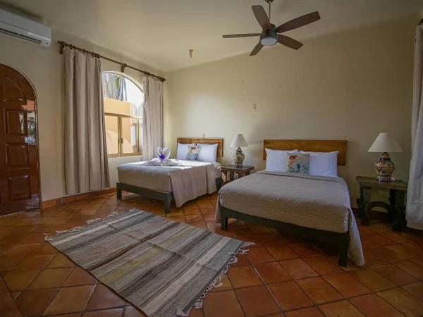 El Delfín - Image 32