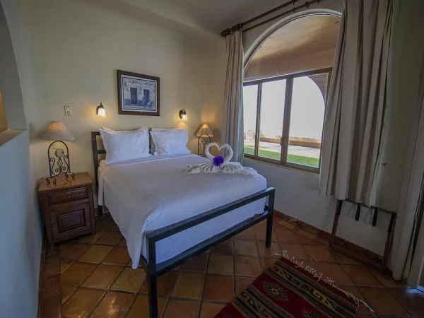 El Delfín - Image 41
